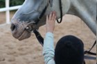 Nauka jazdy konnej
